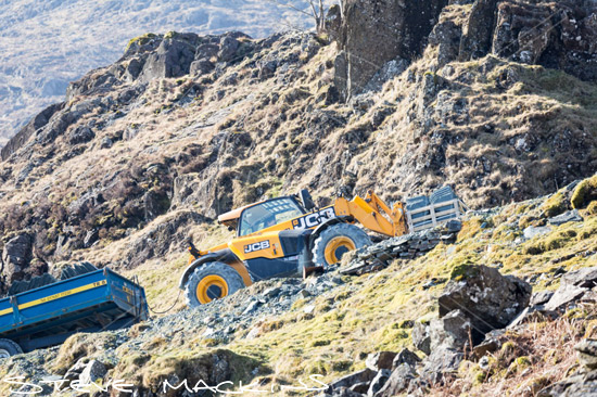 Millom Field Herdwick - Lake District Sheep Photo - Art Prints Millom Field Herdwick