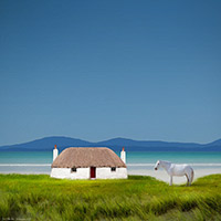Isle of Harris, Luskentyre, Beach, Pony, Horse, White, Hebrides