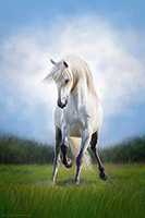 White Horse, Pony, Winter, Snow, Artwork, Wall Art, Art Print