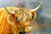 Buttermere Highland Cow Art Print
