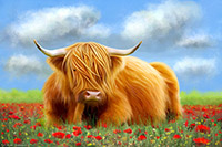 Poppyfield Highland Cow