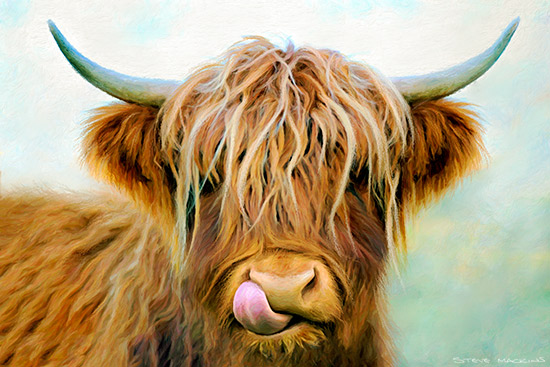 Glen Etive Highland Cow