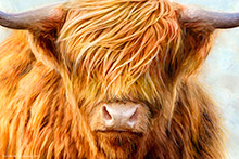 Glencoe Highland Cow, Coo, Glencoe, Highland Cow, Art Print, Original Artwork, Scotland