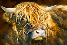 Highland Cow, Coo Artwork, Print, Highlands, Scotland, Heilan Coo