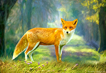 Langdale Woodland Fox, Art, Cumbria, Lake District, Fox, Vixen