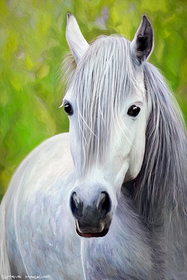 White Horse III