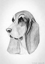 Basset Hound Sketch | #Wildlife Art Prints #Lake District Wildlife Art Prints #Artwork #Lake District #Bed and Breakfast Art Prints #Lake District Wildlife #Large Wall Art Prints #Cumbrian Artist #Box Canvas Art Prints #Cumbria Art Prints #Photopaper Art Prints #Lakes Wildlife #Art #Lake District Artist #Lakeland Art Studio #Acrylic Art Prints #Aluminium Wall Art Prints #Photopaper Art Prints #Fox Art Prints #Elephant Art Prints #Cat Art Prints #Fine Art Prints #Air B&B Art Prints #Canvas Art Prints #Large Wall Art #Gallery Wall Prints #Colourful Wall Art #Custom Art Prints #Handmade Art Prints #Classic Wall Art #Statement Wall Art #Wildlife Art #Cumbrian Artist #Giclee Prints #Lake District Business Art Prints #Photopaper Art Prints #British Artwork Prints #Wildlife Art Prints #Lake District Wildlife Art Prints #Artwork #Lake District #Bed and Breakfast Art Prints #Lake District Wildlife #Large Wall Art Prints #Cumbrian Artist #Box Canvas Art Prints #Cumbria Art Prints #Photopaper Art Prints #Lakes Wildlife #Art #Lake District Artist #Lakeland Art Studio #Acrylic Art Prints #Aluminium Wall Art Prints #Photopaper Art Prints #Fox Art Prints #Elephant Art Prints #Cat Art Prints #Fine Art Prints #Air B&B Art Prints #Canvas Art Prints #Large Wall Art #Gallery Wall Prints #Colourful Wall Art #Custom Art Prints #Handmade Art Prints #Classic Wall Art #Statement Wall Art #Wildlife Art #Cumbrian Artist #Giclee Prints #Lake District Business Art Prints #Photopaper Art Prints #British Artwork Prints