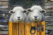 Herdwick Sheep | #Herdwick Sheep Art Prints #Art #Lake District Artist #Lakeland Art Studio #Art Prints #Acrylic Art Prints #Aluminium Art Prints #Herdy Artwork Prints #Contemporary Prints #Herdwick Sheep Art #Lakeland #Lake District #Lakeland Office Artwork #Lake district Wall Art #Hotel Wall Art #Matt Art Prints #Big Art Prints #Canvas Art Prints #Prints of Acrylic Paintings #Wall Art #Air B&B Art Prints #Modern Wall Decor #Framed Art Prints #Minimalist Wall Art #Contemporary Art Prints #Office Wall Decor #Black And White Prints #Vintage Art Prints #Unique Art Prints #Wildlife Art #Office Art #Bed And Breakfast Art Prints #Lake District Wildlife #Large Wall Art Prints #Cumbria Art Prints #British Artwork Prints #Herdwick Sheep Art Prints #Art #Lake District Artist #Lakeland Art Studio #Art Prints #Acrylic Art Prints #Aluminium Art Prints #Herdy Artwork Prints #Contemporary Prints #Herdwick Sheep Art #Lakeland #Lake District #Lakeland Office Artwork #Lake district Wall Art #Hotel Wall Art #Matt Art Prints #Big Art Prints #Canvas Art Prints #Prints of Acrylic Paintings #Wall Art #Air B&B Art Prints #Modern Wall Decor #Framed Art Prints #Minimalist Wall Art #Contemporary Art Prints #Office Wall Decor #Black And White Prints #Vintage Art Prints #Unique Art Prints #Wildlife Art #Office Art #Bed And Breakfast Art Prints #Lake District Wildlife #Large Wall Art Prints #Cumbria Art Prints #British Artwork Prints