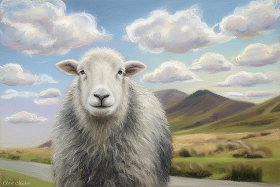 Herdwick Sheep - Herdwick Sheep Art - Art Prints Herdwick Sheep