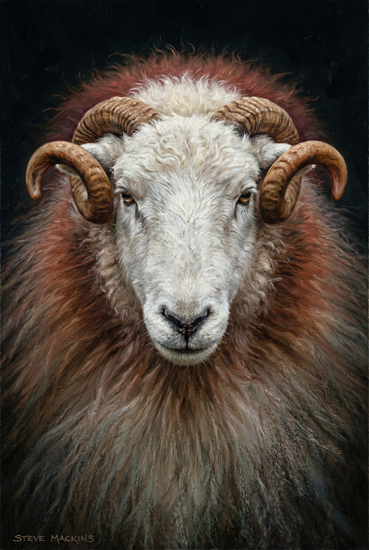 Ram - Sheep Art - Art Prints Ram
