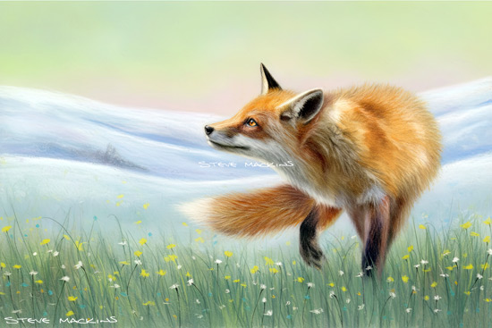 Fox Art Print - Fox - Art Prints Fox Art Print