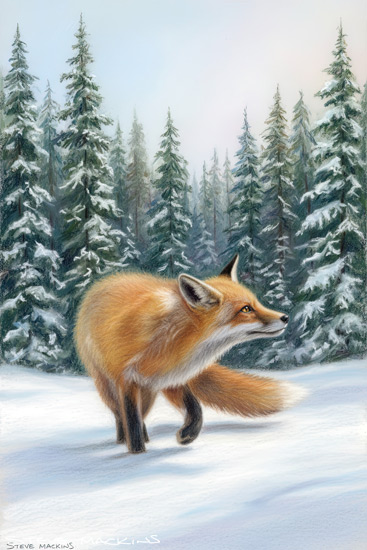 Fox Art Print - Fox - Art Prints Fox Art Print
