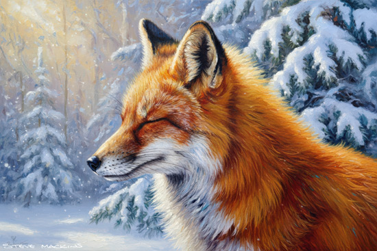 Fox Art Print - Fox - Art Prints Fox Art Print