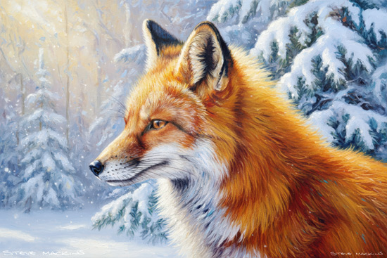 Lakeland Winter Fox II - Fox - Art Prints Lakeland Winter Fox II