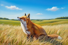 Fox Art Print | #Keswick Red Fox Prints #Ullswater Fox Cub Giclee Art Prints #Langdales Fox Cub Art Prints #Borrowdale Red Fox Artwork #Cumbria Vixen Giclee Art Prints #Keswick Fox Cub Art #Cumbria Vixen Fine Art Prints #Cumbria Fennec Fox Giclee Art Prints #Red Fox Fine Art Prints #Borrowdale Fox Wall Art #UK Fox Wall Art #UK Fox Art Prints #Borrowdale Fox Prints #Red Fox Art Prints Wall Decor #Keswick Fennec Fox Artwork #Ullswater Fox Cub Wall Art #Vixen Art Prints Presentation Gifts #Ullswater Fox Cub Art Prints #Ullswater Fox Cub Prints #Borrowdale Vixen Fine Art Prints #Windermere Fox Giclee Art Prints #Ullswater Fennec Fox Wall Art #Keswick Red Fox Prints #Ullswater Fox Cub Giclee Art Prints #Langdales Fox Cub Art Prints #Borrowdale Red Fox Artwork #Cumbria Vixen Giclee Art Prints #Keswick Fox Cub Art #Cumbria Vixen Fine Art Prints #Cumbria Fennec Fox Giclee Art Prints #Red Fox Fine Art Prints #Borrowdale Fox Wall Art #UK Fox Wall Art #UK Fox Art Prints #Borrowdale Fox Prints #Red Fox Art Prints Wall Decor #Keswick Fennec Fox Artwork #Ullswater Fox Cub Wall Art #Vixen Art Prints Presentation Gifts #Ullswater Fox Cub Art Prints #Ullswater Fox Cub Prints #Borrowdale Vixen Fine Art Prints #Windermere Fox Giclee Art Prints #Ullswater Fennec Fox Wall Art