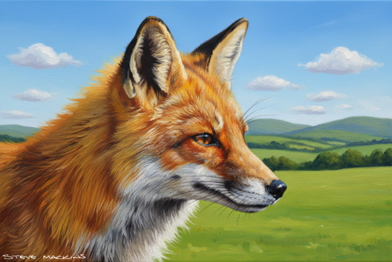 Fox Art Print - Fox - Art Prints Fox Art Print