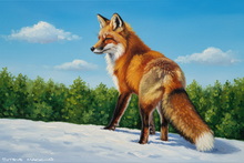 Fox Art Print | #Fox Study Art Prints For Hotels #Keswick Vixen Giclee Art Prints #Ullswater Vixen Prints #Windermere Red Fox Artwork #Ullswater Fennec Fox Canvas Art Prints #Lakeland Fennec Fox Art #Ullswater Fox Cub Aluminium Prints #Fox Canvas Prints #Lakeland Fox Canvas Prints #Langdales Fox Study Aluminium Prints #Lake District Red Fox Artwork #Red Fox Art Prints Home Decor #Keswick Fox Study Prints #Lakeland Fox Cub Giclee Art Prints #Lakeland Fox Study Canvas Art Prints #Borrowdale Fox Cub Canvas Art Prints #Cumbria Red Fox Art Prints #Lakeland Fox Study Fine Art Prints #Borrowdale Vixen Giclee Art Prints #Cumbria Fox Study Fine Art Prints #Fox Study Art Prints Wall Decor #Cumbria Fox Study Canvas Art Prints #Fox Study Art Prints For Hotels #Keswick Vixen Giclee Art Prints #Ullswater Vixen Prints #Windermere Red Fox Artwork #Ullswater Fennec Fox Canvas Art Prints #Lakeland Fennec Fox Art #Ullswater Fox Cub Aluminium Prints #Fox Canvas Prints #Lakeland Fox Canvas Prints #Langdales Fox Study Aluminium Prints #Lake District Red Fox Artwork #Red Fox Art Prints Home Decor #Keswick Fox Study Prints #Lakeland Fox Cub Giclee Art Prints #Lakeland Fox Study Canvas Art Prints #Borrowdale Fox Cub Canvas Art Prints #Cumbria Red Fox Art Prints #Lakeland Fox Study Fine Art Prints #Borrowdale Vixen Giclee Art Prints #Cumbria Fox Study Fine Art Prints #Fox Study Art Prints Wall Decor #Cumbria Fox Study Canvas Art Prints