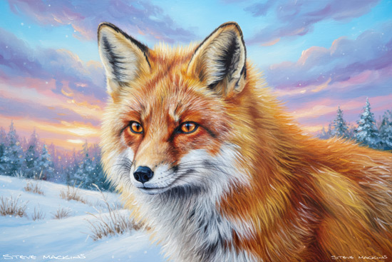 Fox Art Print - Fox - Art Prints Fox Art Print