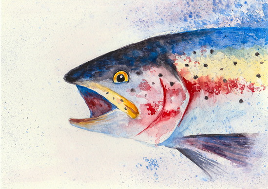 Salmon Watercolour