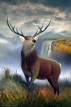 Dacre, Grike, Thornthwaite Crag, Herdwick Sheep Oil Painting, Loughrigg Fell, Roa Island, Storth, Middle Fell, Clifton, Little Langdale, Dow Crag, Holme Fell, Briery, Red Pike (Buttermere), Lakeland Herdy Artworks, Lakeland Sheep, Herdwick, Troutbeck Tongue, Herdwick Artwork, Melmerby, Herdwick Drawings, Pike of Stickle, Herdy, Bowfell, Dove Crag, Mixed-Media Herdy Art, Herdwick Sheep, Barbon, Herdwick Sheep Prints,  Lake District, Cumbria.