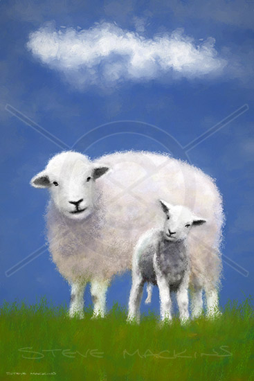 Herdwick Ewe and Lamb