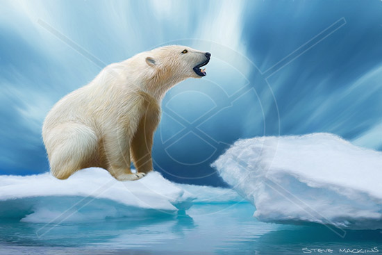 Polar Bear - The Ice King