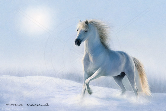 White Horse ~ Winter