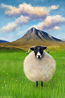 Black Faced Sheep, Buachaille Etive Mor, Glencoe, Art, Artwork, Print, Fine Art