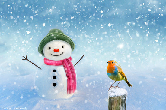 Snowman and Robin