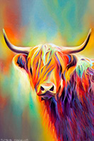 Highland Cow, Heilan Coo, Scotland, Highlands, Art, Print