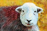 Herdwick Sheep Oil Pastels, Herdy Sketches, Herdwick Sheep Acrylic Paintings, Herdy Ewe, Herdwick, Lakeland Sheep, Herdwick Sheep Oil Painting, Herdwick Sheep Art, Lakeland Herdy Artworks, Herdwick Drawings, Herdwick, Herdy Sketch, Herdy, Herdwick Sheep Prints, Herdy Wall Art, Herdy Sheep Artist, Herdwick Sheep Oil Painting, Herdwick Artwork, Herdwick Sheep, Herdies, Herdwick Sheep Art Studio, Herdwick Sheep Sketch, Herdwick Wall Art, Herdy Art, Great Asby, Armboth Fell, Old Hutton, High Tove, Sandwith, Millom, Abbeytown, Brough, Skirwith, Threlkeld, High Spy, Souther Fell, St. Bees, Brockleym