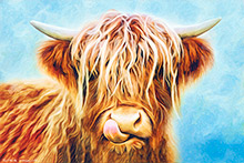 Glen Etive, Highland Cow, Coo, Glen Etive Highland Cow Art Print of my Original Artwork.