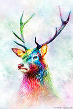 Highland Stag Watercolour  ,Art, Artwork, Art Print