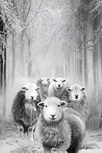Herdwick Sheep Art, Herdwick Wall Art, Lakeland Sheep, Herdwick Drawings, Herdy Sketch, Herdwick, Herdy Sketches, Herdy Wall Art, Herdy Sheep Artist, Lakeland Herdy Artworks, Herdy Ewe, Herdwick, Herdies, Herdwick Sheep Acrylic Paintings, Herdwick Sheep Oil Pastels, Herdwick Sheep Sketch, Herdwick Sheep Art Studio, Herdy Art, Mixed-Media Herdy Art, Herdwick Sheep, Herdwick Sheep Oil Painting, Herdwick Sheep Oil Painting, Herdwick Sheep Prints, Herdy, Chapel Stile, Warwick-on-Eden, Raise, Cumwhitton, Longlands, Levens, Dovenby, Knock, Hindscarth, Glenridding Dodd, Seathwaite (Duddon Valley), He