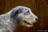 Irish Wolfhound ,Art, Artwork, Art Print