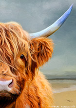 Harris Beach Highland Cow (crop version) ,Art, Artwork, Art Print