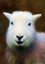 Herdwick Wall Art, Herdy Wall Art, Lakeland Sheep, Herdy Art, Herdwick Sheep Art Studio, Herdwick Sheep Acrylic Paintings, Herdwick Sheep Oil Painting, Herdy Sketch, Herdwick, Herdwick Sheep Oil Pastels, Herdwick Drawings, Herdies, Herdwick, Lakeland Herdy Artworks, Herdwick Sheep Prints, Herdwick Sheep Art, Herdwick Sheep Oil Painting, Herdwick Sheep Sketch, Herdwick Artwork, Herdwick Sheep, Herdy, Herdy Sketches, Herdy Sheep Artist, Herdy Ewe, Threlkeld, Knock, Bothel, Rest Dodd, Swirl How, Green Crag, Angletarn Pikes, Westward, Langwathby, Coniston Old Man, Appleby-in-Westmorland, Lazonby, 