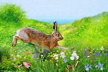 Hare Meadow III ,Art, Artwork, Art Print