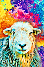 Herdwick Sheep Oil Painting, Herdy Sketches, Herdy Art, Herdwick Sheep Prints, Herdwick Sheep Oil Pastels, Herdy Ewe, Herdwick Sheep Art Studio, Herdwick Artwork, Herdwick Wall Art, Herdy Sketch, Herdwick Sheep, Herdy Sheep Artist, Herdy, Herdwick Sheep Acrylic Paintings, Herdies, Herdwick, Herdwick Sheep Oil Painting, Lakeland Herdy Artworks, Lakeland Sheep, Herdwick Drawings, Herdwick, Mixed-Media Herdy Art, Herdwick Sheep Sketch, Herdwick Sheep Art, Heversham, Lank Rigg, Kirkby Thore, Tebay, Bigrigg, Armathwaite, High Stile, Yoke, Penrith, Slight Side, Saint Sunday Crag, Shap, Caudale Moor,