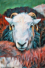 Herdy Wall Art, Herdwick Sheep Oil Painting, Herdwick Artwork, Herdwick Sheep Oil Painting, Herdwick, Herdy, Mixed-Media Herdy Art, Herdwick Sheep Prints, Herdwick Sheep Oil Pastels, Herdwick Sheep Sketch, Herdy Art, Herdwick Sheep Art, Herdwick Drawings, Herdy Ewe, Herdy Sketches, Herdwick Sheep, Herdwick Sheep Acrylic Paintings, Herdwick, Herdy Sketch, Herdy Sheep Artist, Herdies, Lakeland Herdy Artworks, Herdwick Wall Art, Lakeland Sheep, Crook, Haystacks, Brigflatts, Newton Arlosh, Hartley, Watch Hill, Low Pike, Cartmel, Maulds Meaburn, Raven Crag, Allen Crags, Hutton Roof (Kirkby Lonsdale