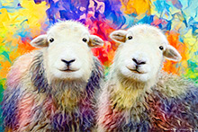 Herdwick, Herdy Sheep Artist, Lakeland Sheep, Mixed-Media Herdy Art, Herdy, Herdy Art, Herdy Ewe, Herdwick Sheep, Herdwick Sheep Oil Pastels, Herdwick Artwork, Herdwick Sheep Oil Painting, Herdwick Wall Art, Herdwick Sheep Art Studio, Herdwick Sheep Acrylic Paintings, Herdwick, Herdwick Sheep Sketch, Herdy Sketch, Lakeland Herdy Artworks, Herdy Wall Art, Herdies, Herdy Sketches, Herdwick Sheep Art, Herdwick Sheep Prints, Herdwick Sheep Oil Painting, Broughton Moor, Bonscale Pike, Black Fell, Askham, Lake District, Cleator Moor, Corney, Routenbeck, Mungrisdale Common, Asby (Workington), Seathwa