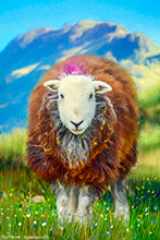 Herdy Art, Herdies, Herdwick Sheep Art Studio, Herdwick, Herdwick Sheep Art, Herdwick Sheep Prints, Herdy, Herdwick Sheep Oil Painting, Herdwick Artwork, Herdwick, Herdy Ewe, Herdwick Sheep, Herdwick Sheep Oil Painting, Herdy Wall Art, Herdy Sketches, Mixed-Media Herdy Art, Herdwick Sheep Acrylic Paintings, Herdwick Drawings, Herdy Sketch, Lakeland Sheep, Herdwick Sheep Sketch, Lakeland Herdy Artworks, Herdwick Sheep Oil Pastels, Herdy Sheep Artist, Grange-Over-Sands, Great Asby, Kirkbride, Clifton, Plumbland, Seatallan, Orton, Blawith, Houghton, Bigrigg, Matterdale End, High Crag,  Lake Distr