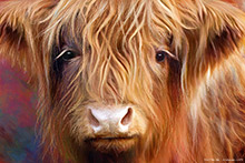 Ella Highland Cow II ,Art, Artwork, Art Print
