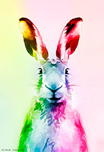 Hare, Mixed-Media Art, Wall Art, Art Studio