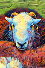 Herdwick Sheep Art Studio, Herdwick, Herdwick Artwork, Herdwick Sheep, Lakeland Herdy Artworks, Herdwick Sheep Sketch, Herdy Art, Herdwick Wall Art, Herdwick Sheep Oil Painting, Herdwick Sheep Art, Herdy Sketch, Herdwick Sheep Acrylic Paintings, Herdy Sheep Artist, Herdwick Drawings, Herdy Sketches, Herdwick, Herdy, Herdwick Sheep Prints, Mixed-Media Herdy Art, Herdy Ewe, Herdwick Sheep Oil Pastels, Lakeland Sheep, Herdwick Sheep Oil Painting, Herdies, Holker, Blencogo, Mungrisdale Common, Low Pike, Isel, Raven Crag, Waberthwaite, Cockermouth, Rosthwaite (Keswick), Arnison Crag, Backbarrow, Ox