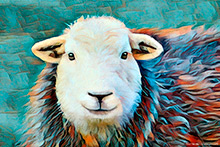 Herdwick Sheep Prints, Herdwick Sheep Art Studio, Herdy, Herdwick Ewe, Herdwick Sheep Art, Herdy Sketches, Herdwick Wall Art, Herdwick, Herdwick Sheep Sketch, Mixed-Media Herdy Art, Herdwick Sheep Oil Painting, Lakeland Sheep, Herdwick Sheep, Herdwick Drawings, Herdy Ewe, Herdy Sheep Artist, Herdy Wall Art, Herdwick Sheep Oil Painting, Herdwick Sheep Acrylic Paintings, Herdy Sketch, Lakeland Herdy Artworks, Herdwick Artwork, Herdwick Sheep Oil Pastels, Herdy Art, Herdwick, Crag Fell, Glenridding, Staveley (Kendal), Green Gable, Little Asby, Hard Knott, Burton-in-Kendal, Buckbarrow, Wythburn, R