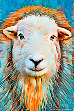 Herdwick, Herdy Sketch, Herdy Sheep Artist, Herdy, Herdwick Sheep Prints, Herdy Wall Art, Herdwick Sheep Oil Painting, Herdwick Drawings, Lakeland Herdy Artworks, Herdwick Sheep Art Studio, Lakeland Sheep, Mixed-Media Herdy Art, Herdy Ewe, Herdwick Wall Art, Herdy Sketches, Herdwick Sheep Acrylic Paintings, Herdwick Artwork, Herdy Art, Herdwick Sheep, Herdwick Sheep Sketch, Herdwick, Herdwick Sheep Art, Herdies, Herdwick Sheep Oil Painting, Gavel Fell, Ulverston, Leece, Bleaberry Fell, Watch Hill, Caw Fell, High Tove, Longtown, Carl Side, Eaglesfield, Askham, Lakeland, Rannerdale Knotts, Fleet