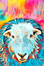 Herdy Sketch, Herdwick Sheep Art Studio, Herdwick Sheep Art, Herdy Sheep Artist, Herdy, Herdy Sketches, Herdy Art, Herdwick Drawings, Lakeland Sheep, Herdwick Sheep Oil Painting, Herdies, Herdwick Sheep Oil Pastels, Herdwick, Herdy Ewe, Herdwick Artwork, Herdwick Sheep Sketch, Mixed-Media Herdy Art, Herdy Wall Art, Herdwick Sheep, Herdwick Sheep Oil Painting, Lakeland Herdy Artworks, Herdwick Wall Art, Herdwick, Herdwick Sheep Prints, Ulverston, Buck Pike, Skelton, Hallbankgate, Little Asby, Kirkhouse, Hutton Roof, Fleetwith Pike, Mealsgate, Whin Rigg, Glenridding, Caudale Moor, Watendlath, Fa