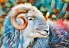 Herdwick Sheep Oil Pastels, Herdwick Sheep Sketch, Herdwick Sheep Prints, Herdwick Sheep Art Studio, Herdwick Sheep Oil Painting, Herdies, Herdwick Artwork, Herdy Sketches, Herdy Sketch, Lakeland Sheep, Lakeland Herdy Artworks, Herdwick Sheep, Herdwick Sheep Art, Herdy Sheep Artist, Herdy, Herdwick Drawings, Mixed-Media Herdy Art, Herdwick Wall Art, Herdwick Sheep Acrylic Paintings, Herdy Art, Herdwick, Herdwick Sheep Oil Painting, Herdy Ewe, Herdy Wall Art, Sallows, High Tove, Whiteless Pike, Ousby, Warwick Bridge, Temple Sowerby, Raise, Grisedale Pike, Pooley Bridge, Hindscarth, Bowscale Fel