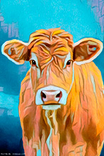 Highland Cow X,  ,Art, Artwork, Art Print, Wall Art, Landscape Art, Wildlife Art